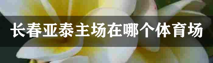 长春亚泰主场在哪个体育场