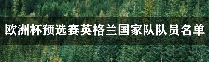 欧洲杯预选赛英格兰国家队队员名单