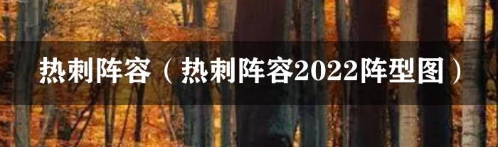 热刺阵容（热刺阵容2022阵型图）