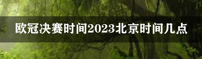 欧冠决赛时间2023北京时间几点