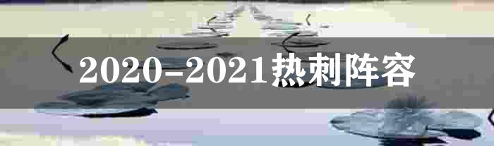2020-2021热刺阵容