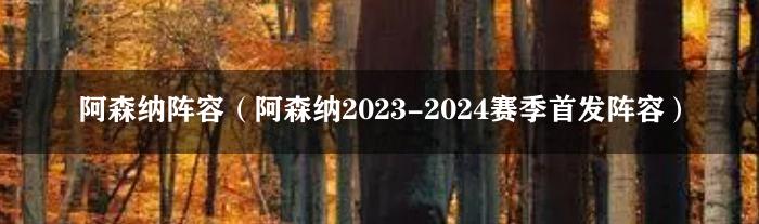 阿森纳阵容（阿森纳2023-2024赛季首发阵容）