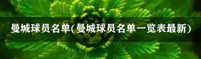 曼城球员名单(曼城球员名单一览表最新)