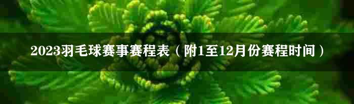 2023羽毛球赛事赛程表（附1至12月份赛程时间）