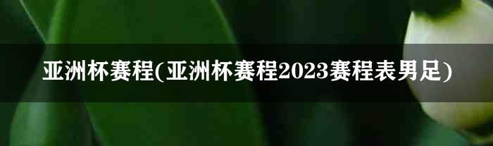 亚洲杯赛程(亚洲杯赛程2023赛程表男足)