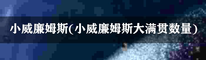 小威廉姆斯(小威廉姆斯大满贯数量)