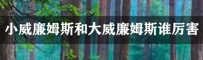 小威廉姆斯和大威廉姆斯谁厉害