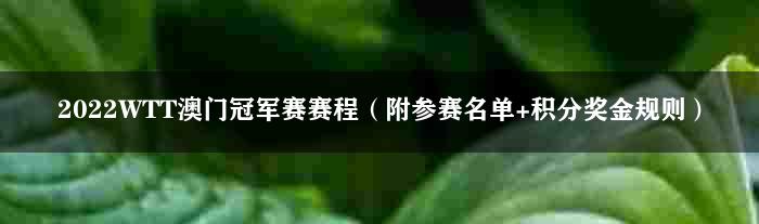 2022WTT澳门冠军赛赛程（附参赛名单+积分奖金规则）