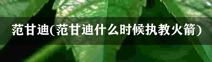 范甘迪(范甘迪什么时候执教火箭)