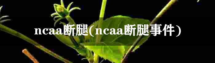 ncaa断腿(ncaa断腿事件)