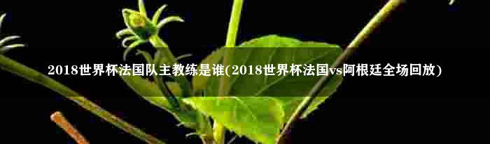 2018世界杯法国队主教练是谁(2018世界杯法国vs阿根廷全场回放)