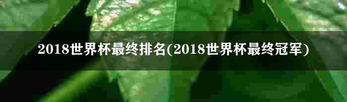 2018世界杯最终排名(2018世界杯最终冠军)