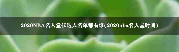 2020NBA名人堂候选人名单都有谁(2020nba名人堂时间)