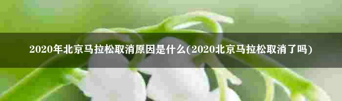 2020年北京马拉松取消原因是什么(2020北京马拉松取消了吗)