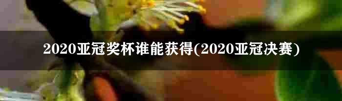 2020亚冠奖杯谁能获得(2020亚冠决赛)