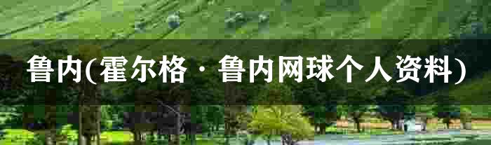 鲁内(霍尔格·鲁内网球个人资料)