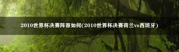 2010世界杯决赛阵容如何(2010世界杯决赛荷兰vs西班牙)