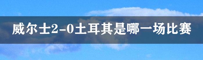 威尔士2-0土耳其是哪一场比赛