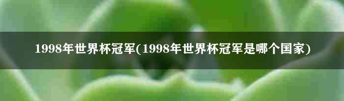 1998年世界杯冠军(1998年世界杯冠军是哪个国家)