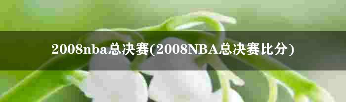 2008nba总决赛(2008NBA总决赛比分)