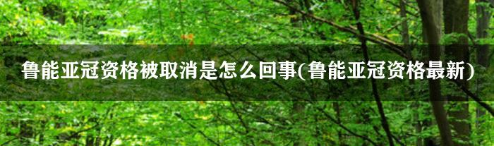 鲁能亚冠资格被取消是怎么回事(鲁能亚冠资格最新)