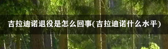 吉拉迪诺退役是怎么回事(吉拉迪诺什么水平)