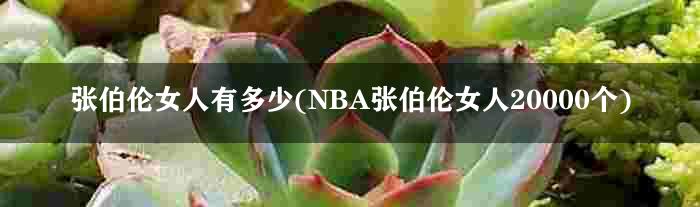 张伯伦女人有多少(NBA张伯伦女人20000个)