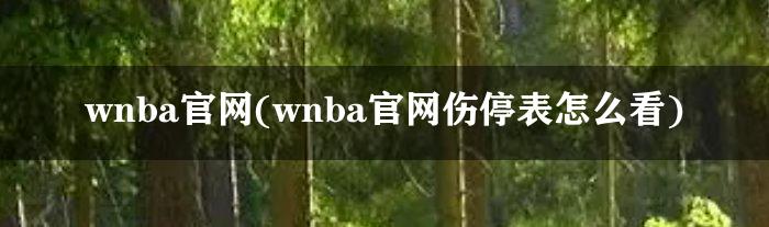 wnba官网(wnba官网伤停表怎么看)