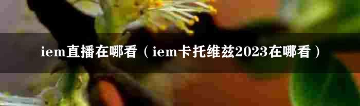 iem直播在哪看（iem卡托维兹2023在哪看）