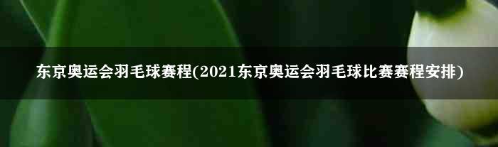 东京奥运会羽毛球赛程(2021东京奥运会羽毛球比赛赛程安排)