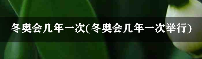 冬奥会几年一次(冬奥会几年一次举行)