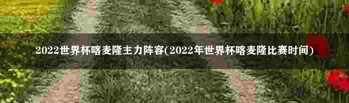 2022世界杯喀麦隆主力阵容(2022年世界杯喀麦隆比赛时间)