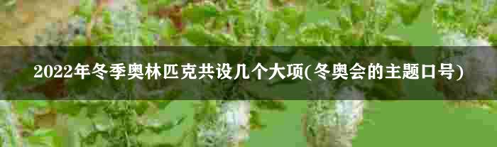 2022年冬季奥林匹克共设几个大项(冬奥会的主题口号)