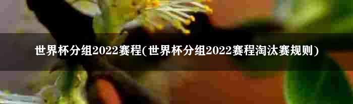 世界杯分组2022赛程(世界杯分组2022赛程淘汰赛规则)