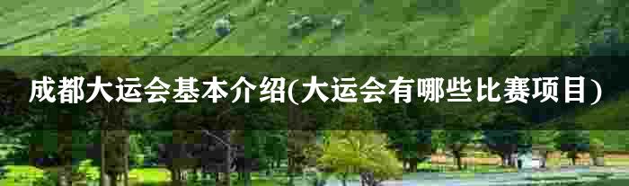 成都大运会基本介绍(大运会有哪些比赛项目)