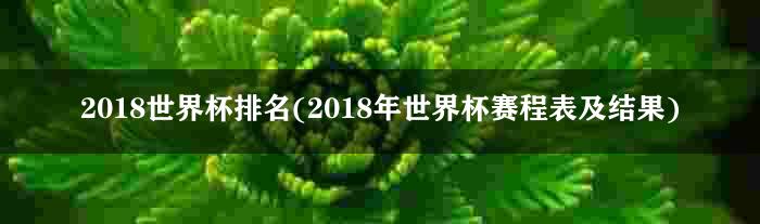 2018世界杯排名(2018年世界杯赛程表及结果)