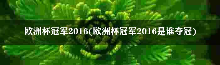 欧洲杯冠军2016(欧洲杯冠军2016是谁夺冠)