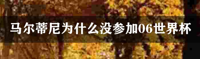 马尔蒂尼为什么没参加06世界杯