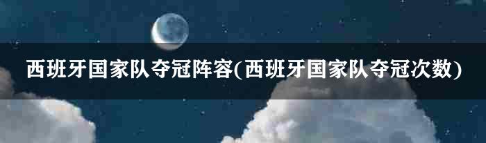 西班牙国家队夺冠阵容(西班牙国家队夺冠次数)