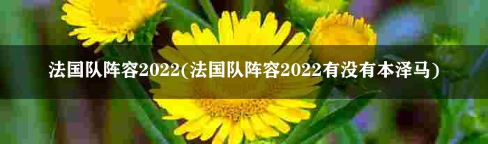 法国队阵容2022(法国队阵容2022有没有本泽马)