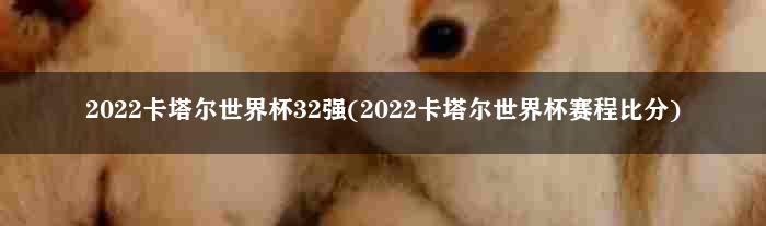 2022卡塔尔世界杯32强(2022卡塔尔世界杯赛程比分)