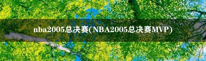 nba2005总决赛(NBA2005总决赛MVP)