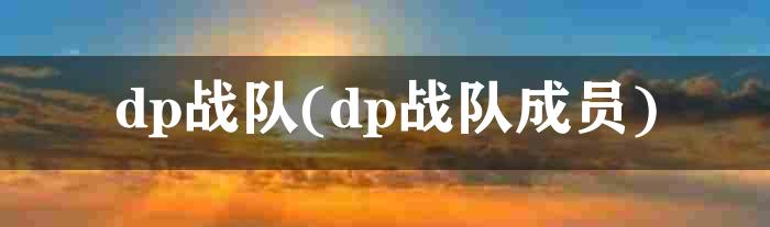 dp战队(dp战队成员)