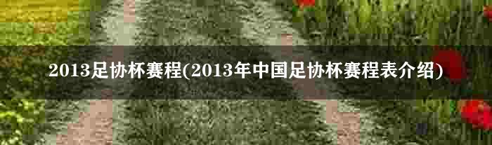 2013足协杯赛程(2013年中国足协杯赛程表介绍)