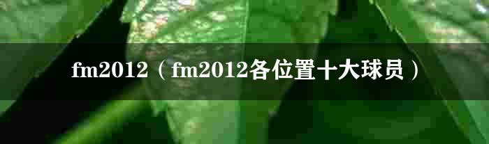 fm2012（fm2012各位置十大球员）