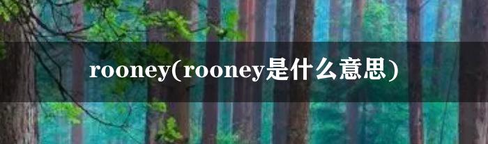 rooney(rooney是什么意思)