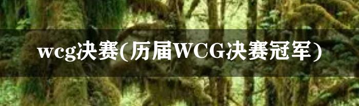 wcg决赛(历届WCG决赛冠军)
