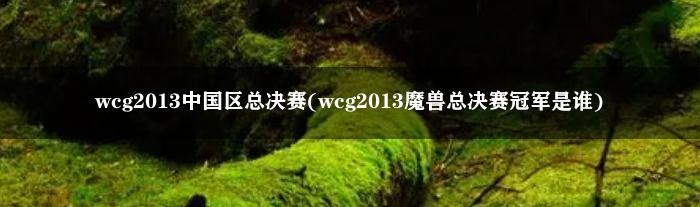 wcg2013中国区总决赛(wcg2013魔兽总决赛冠军是谁)