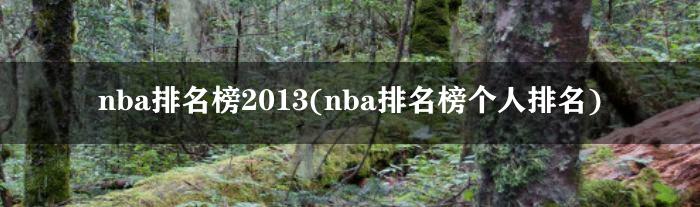 nba排名榜2013(nba排名榜个人排名)