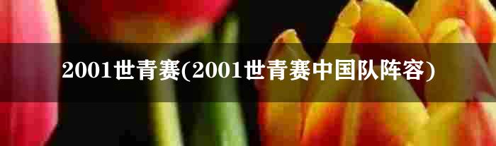 2001世青赛(2001世青赛中国队阵容)